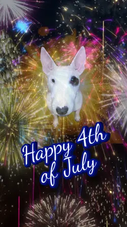 Happy 4th of July! 
