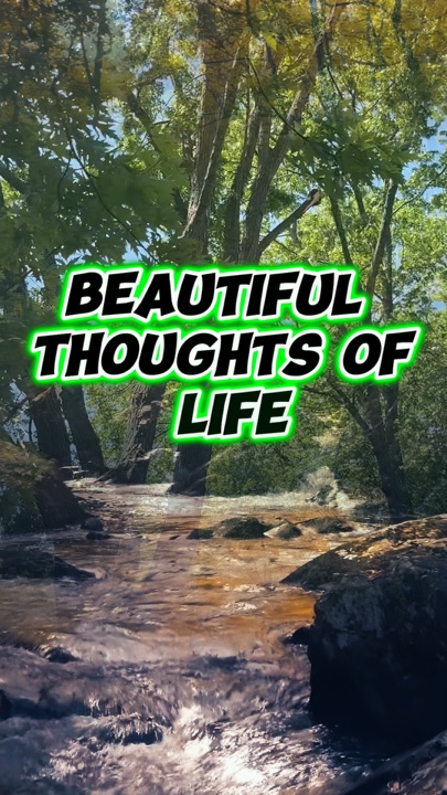 The Beauty Of Life 