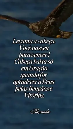 a vida sobre ter