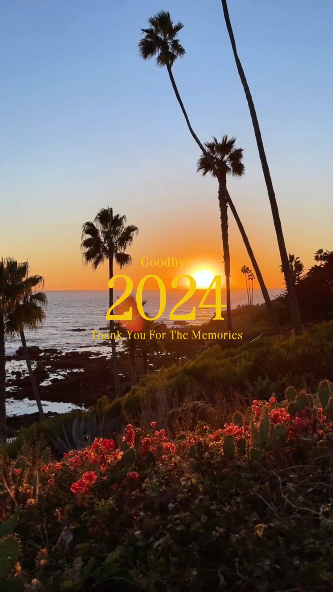 my life 2024 
