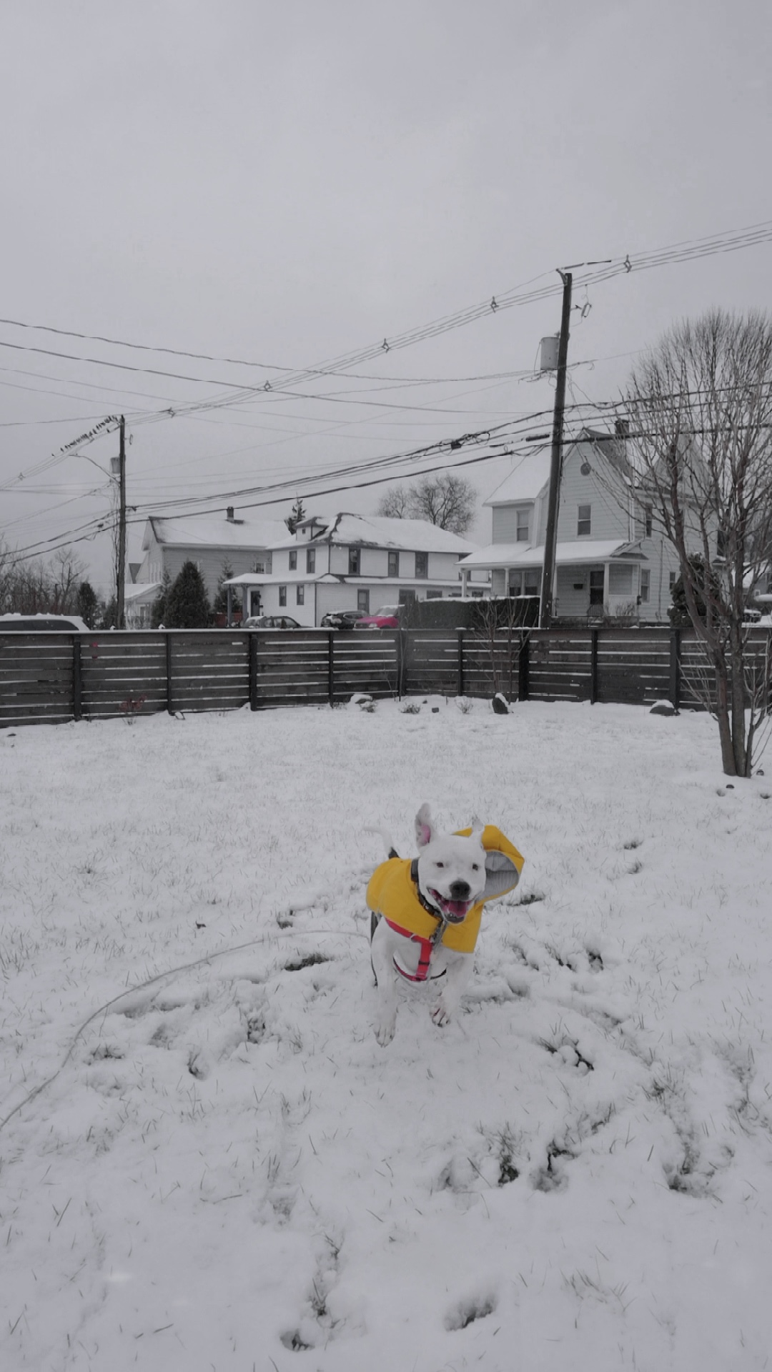 Jeu de neige 