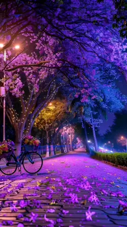 magical world. 
