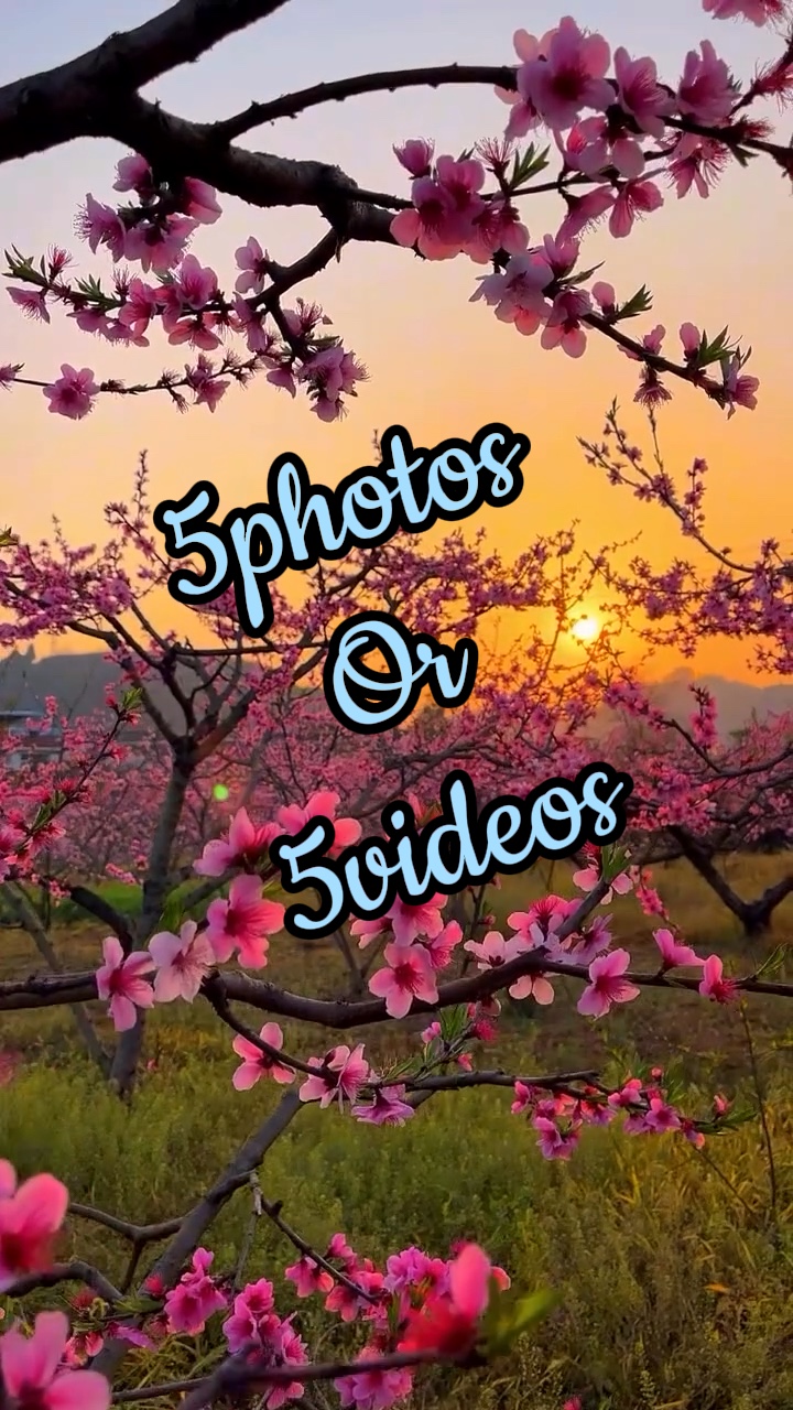 5photos/videos