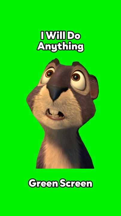 I will do anything  