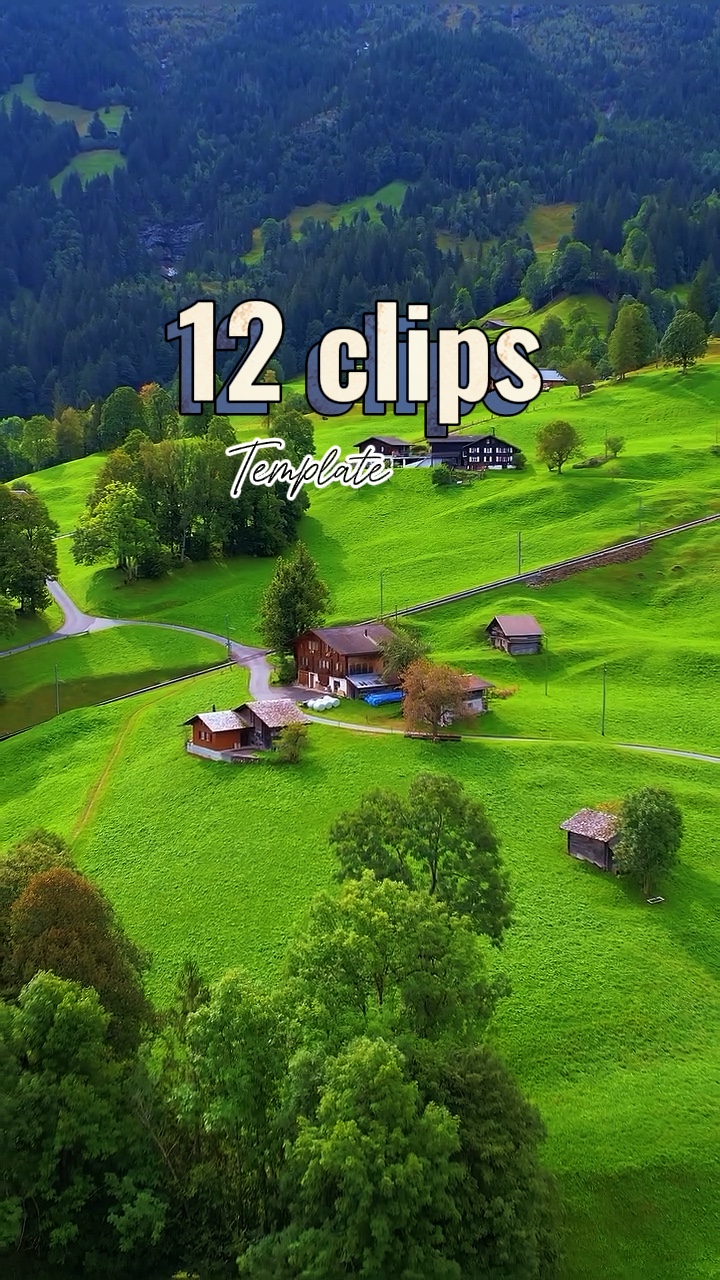 12 clips
