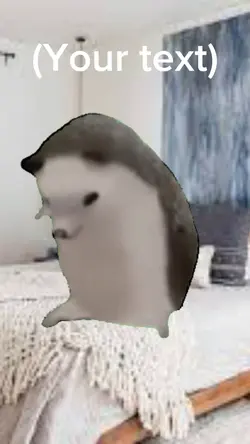 Dancing hedgehog
