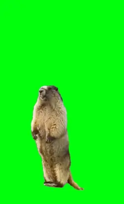 ahhhhh