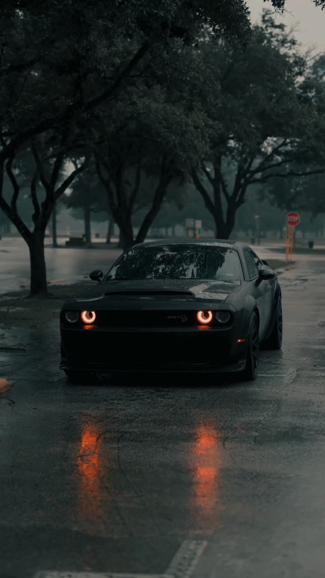CAR | DODGE | 3VIDEO
