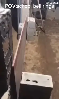 Geese
