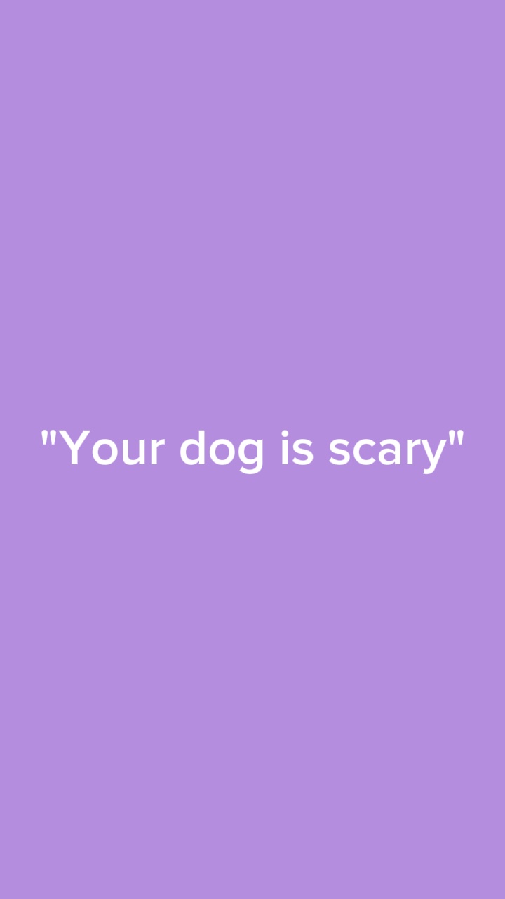 "Tu perro da miedo"