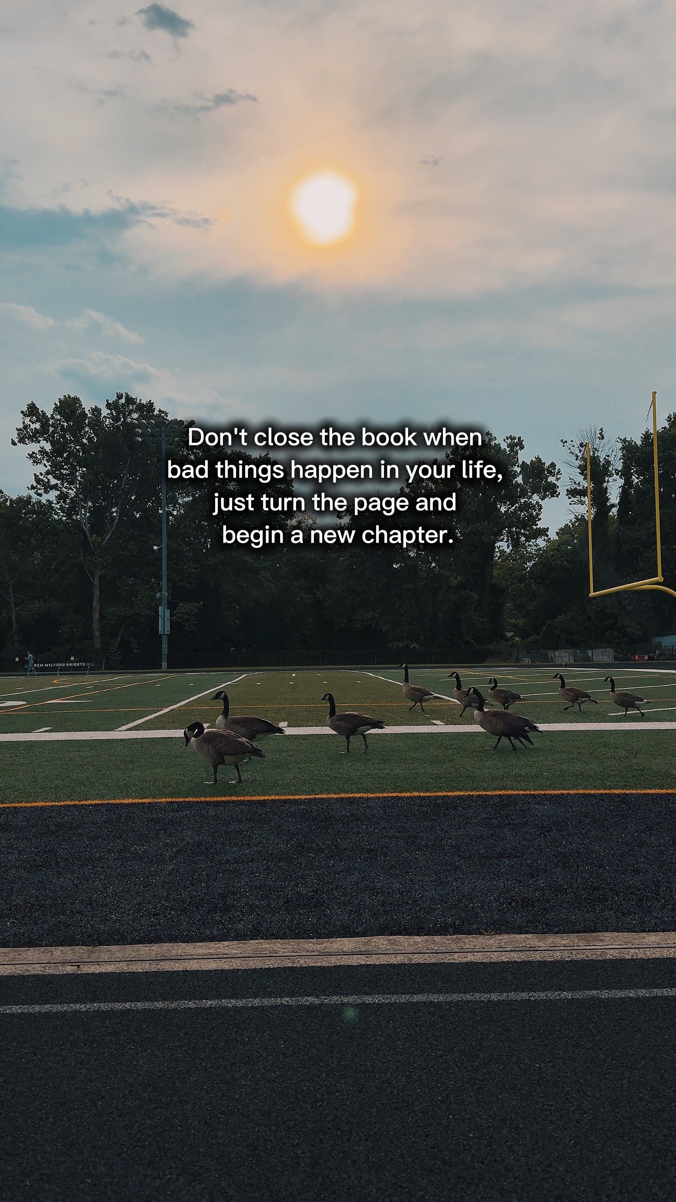 TURN THE PAGE 📖🌤️