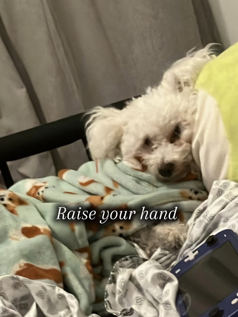 Raise YoUr HANdT!