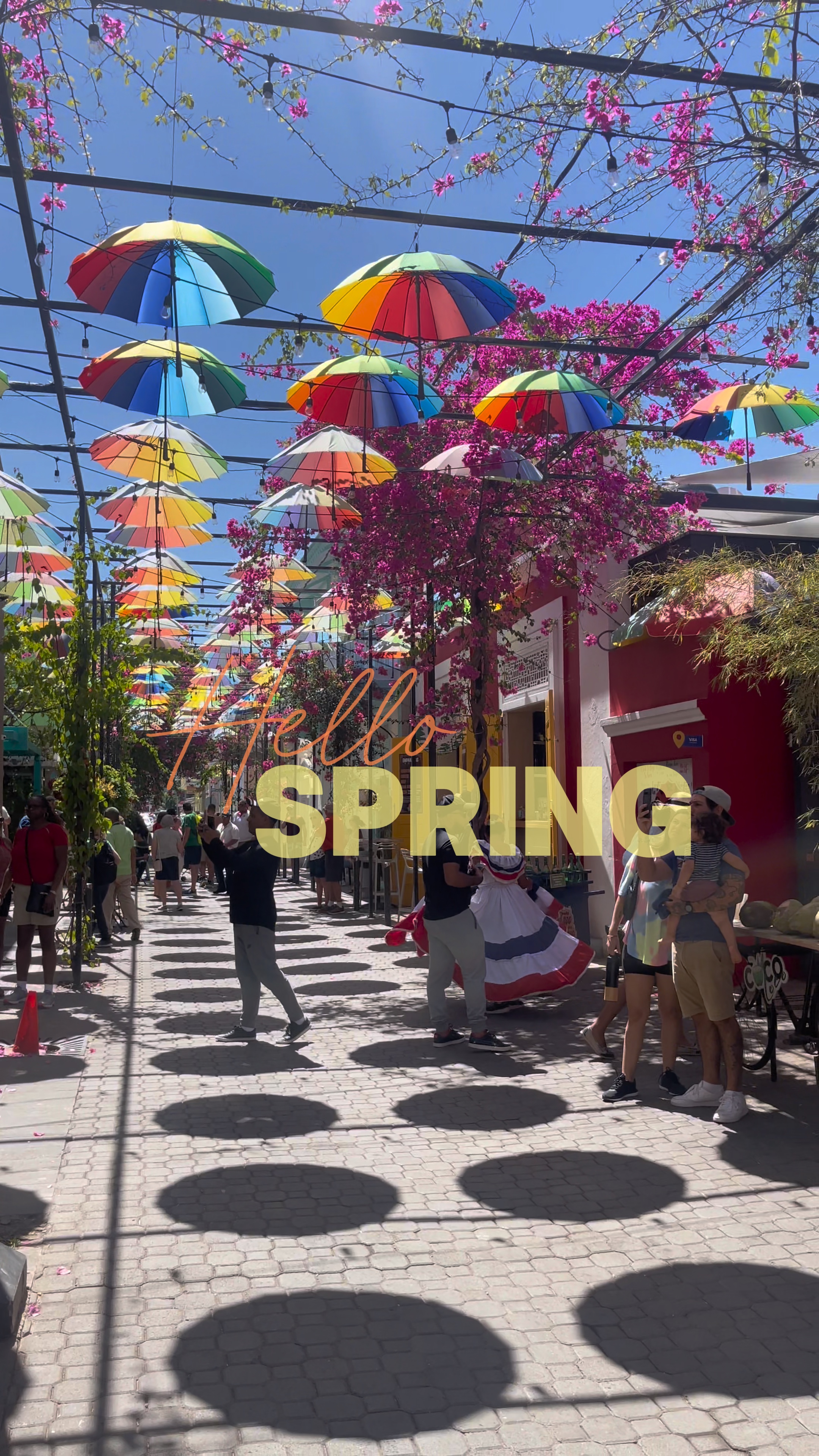 Hola primavera