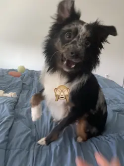 i CANNOT hold it 🙈