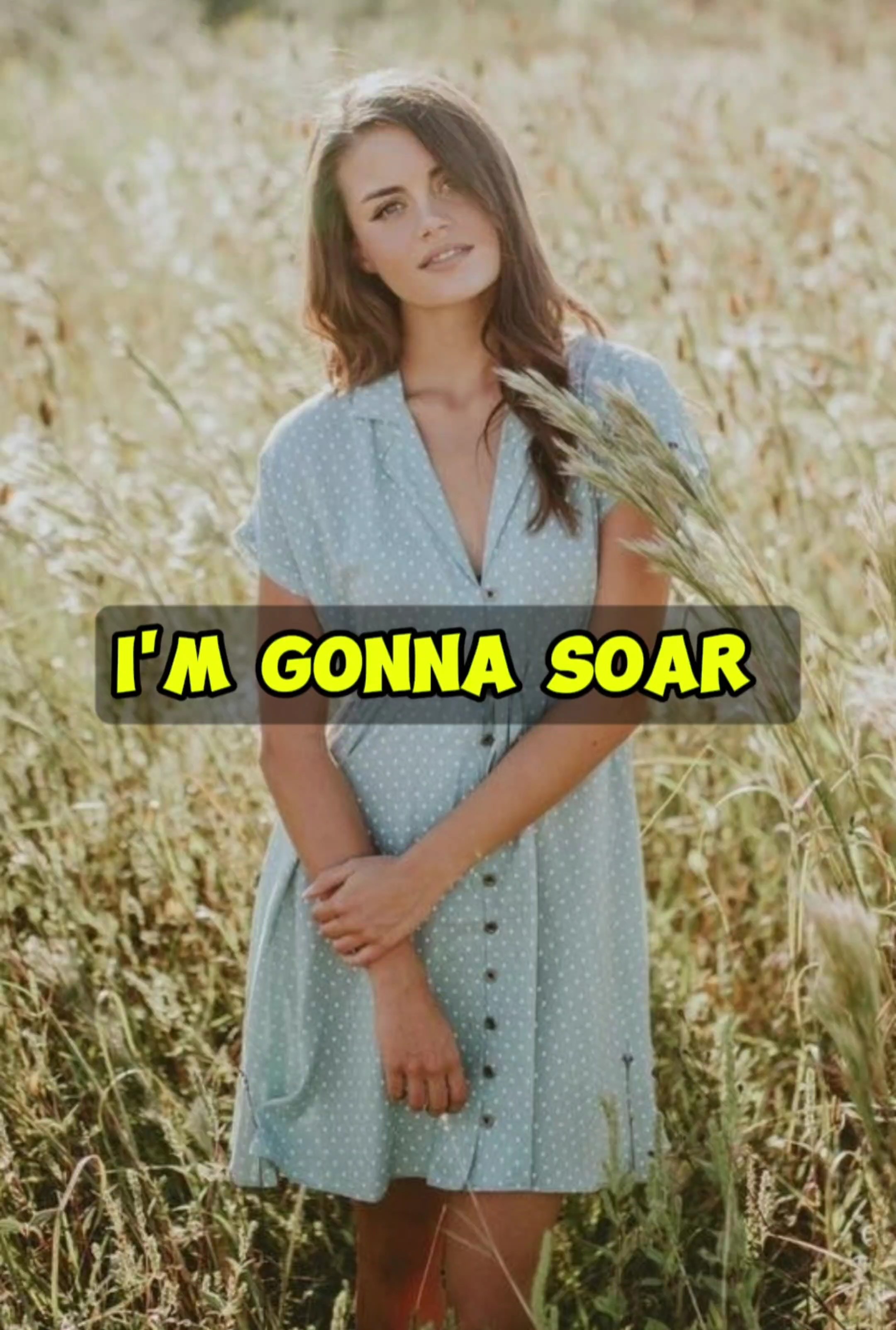 I'm Gonna Soar x1pic