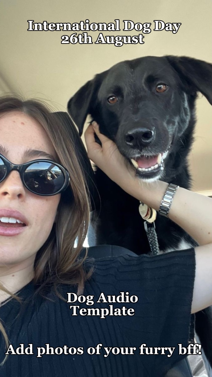 L'audio de mon chien 