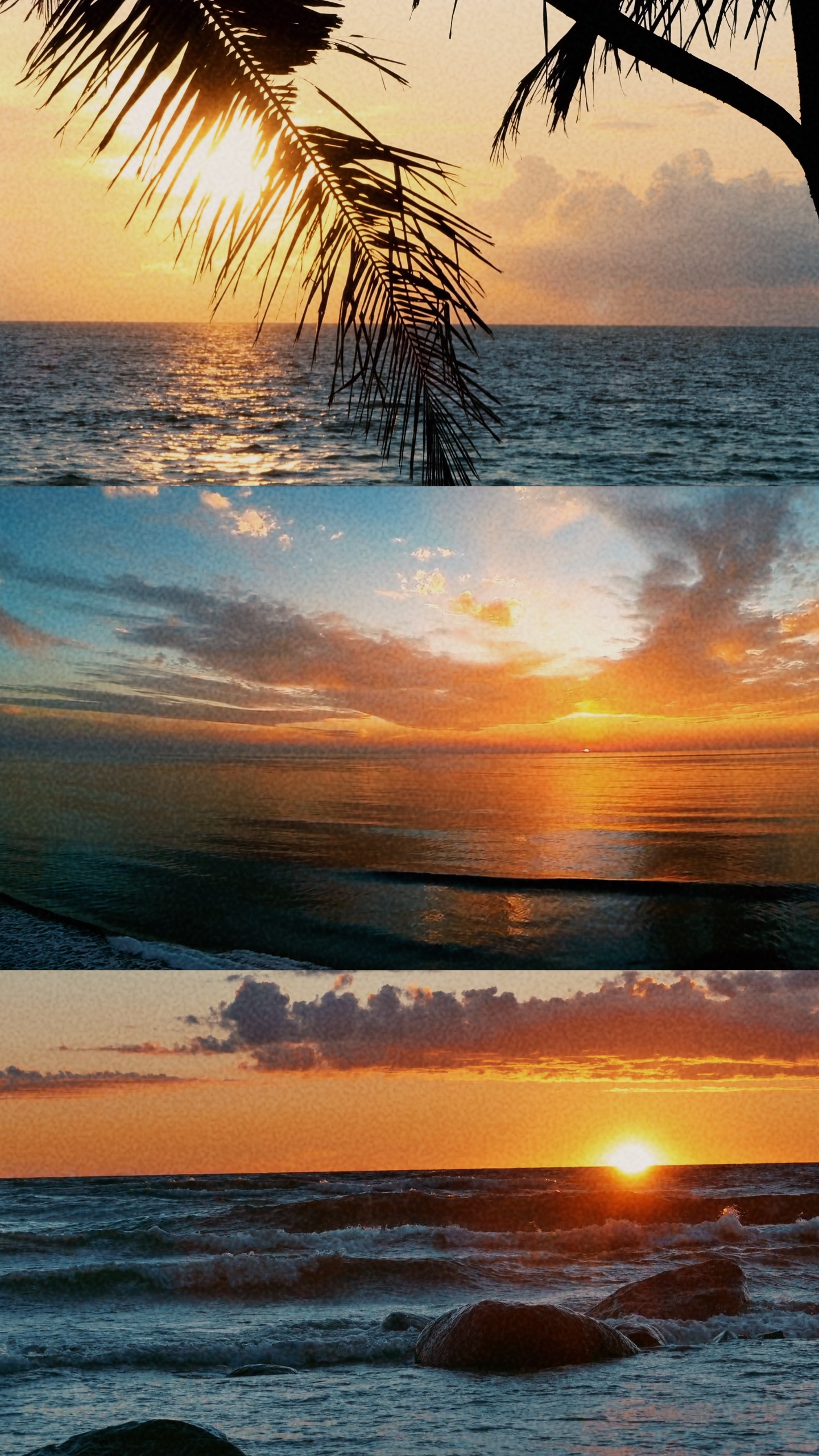 로피 분할 화면 🌅