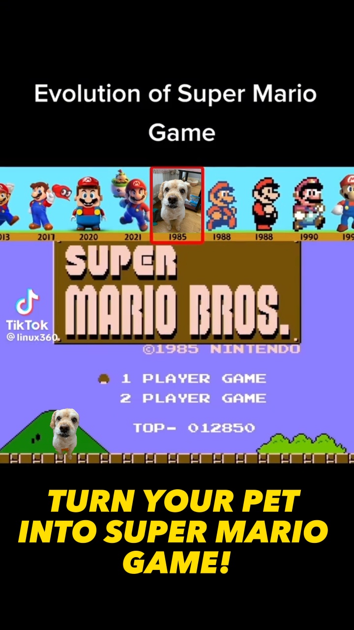 Super Mario Dog 