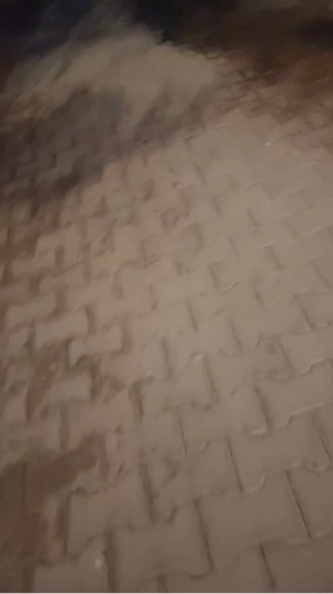 😹