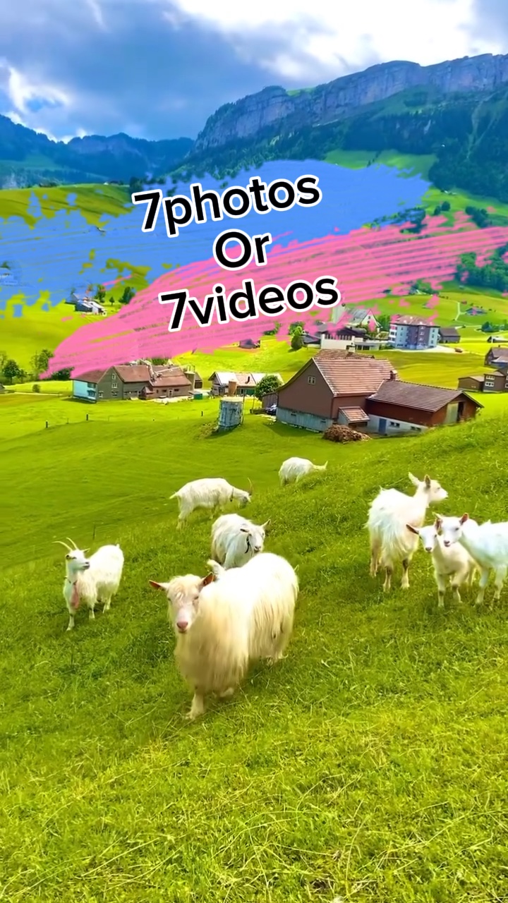 7fotoğraf / video