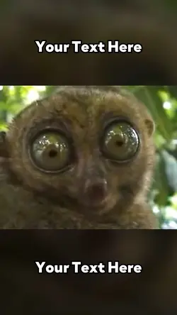 Dramatic Lemur