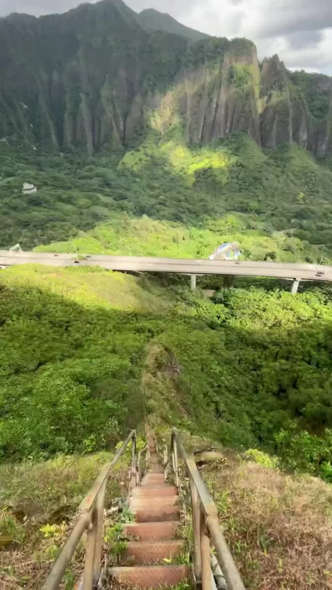 Transición de la mano 
