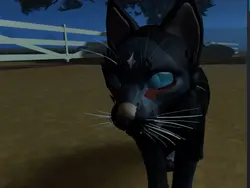 :3