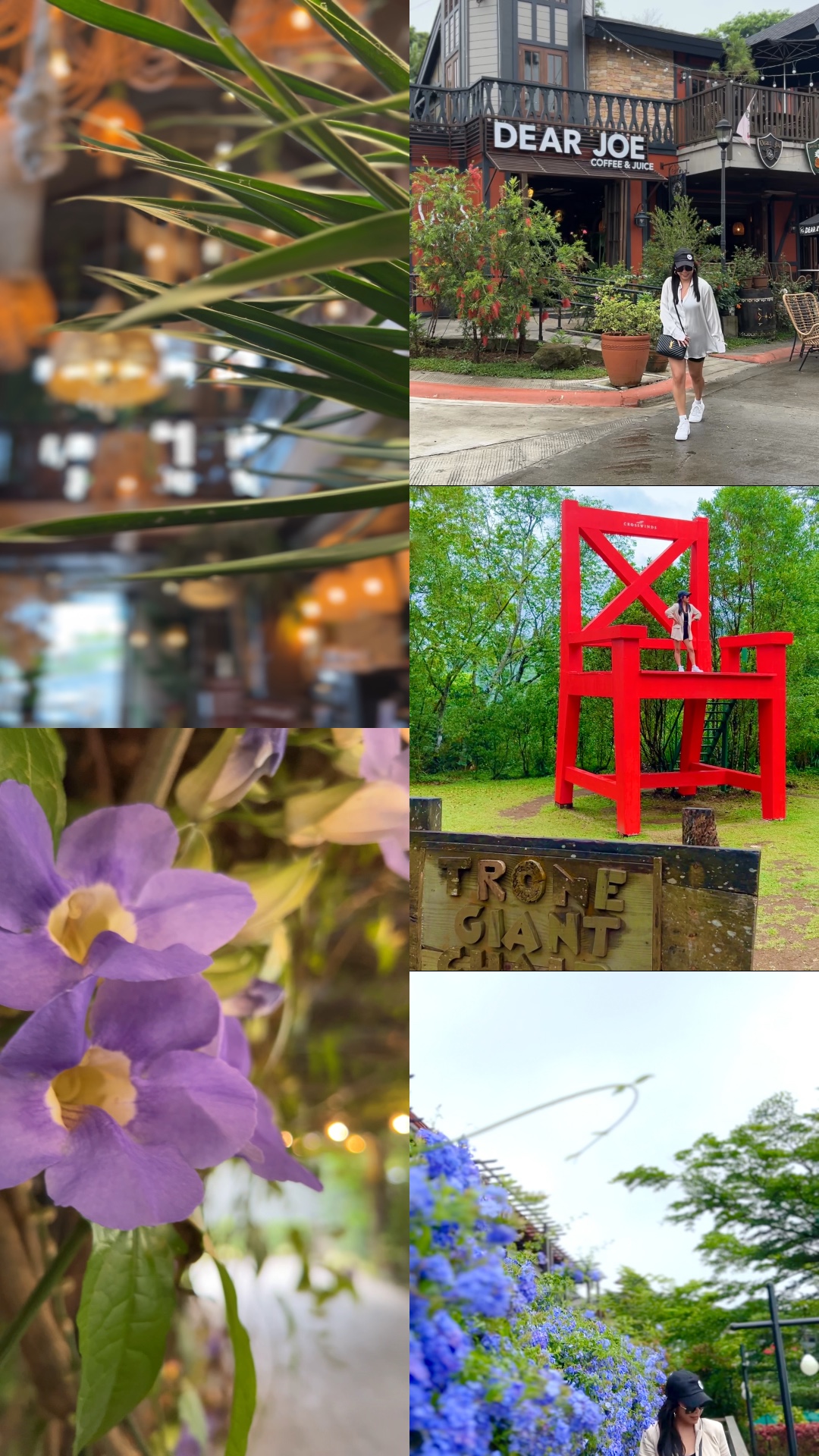5 videos