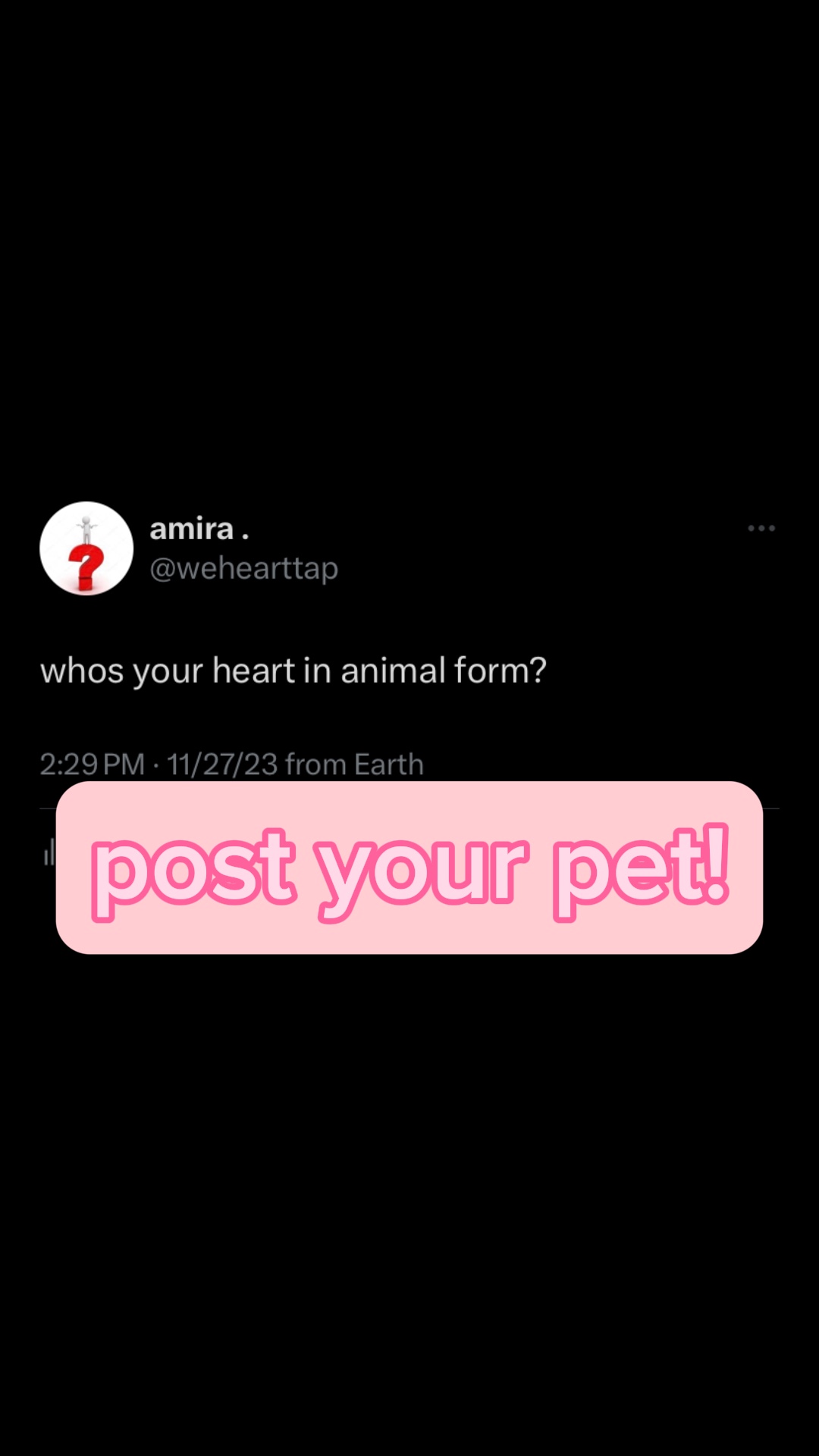 (🫀) en forma animal♥️