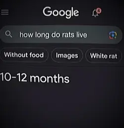 Ratatata