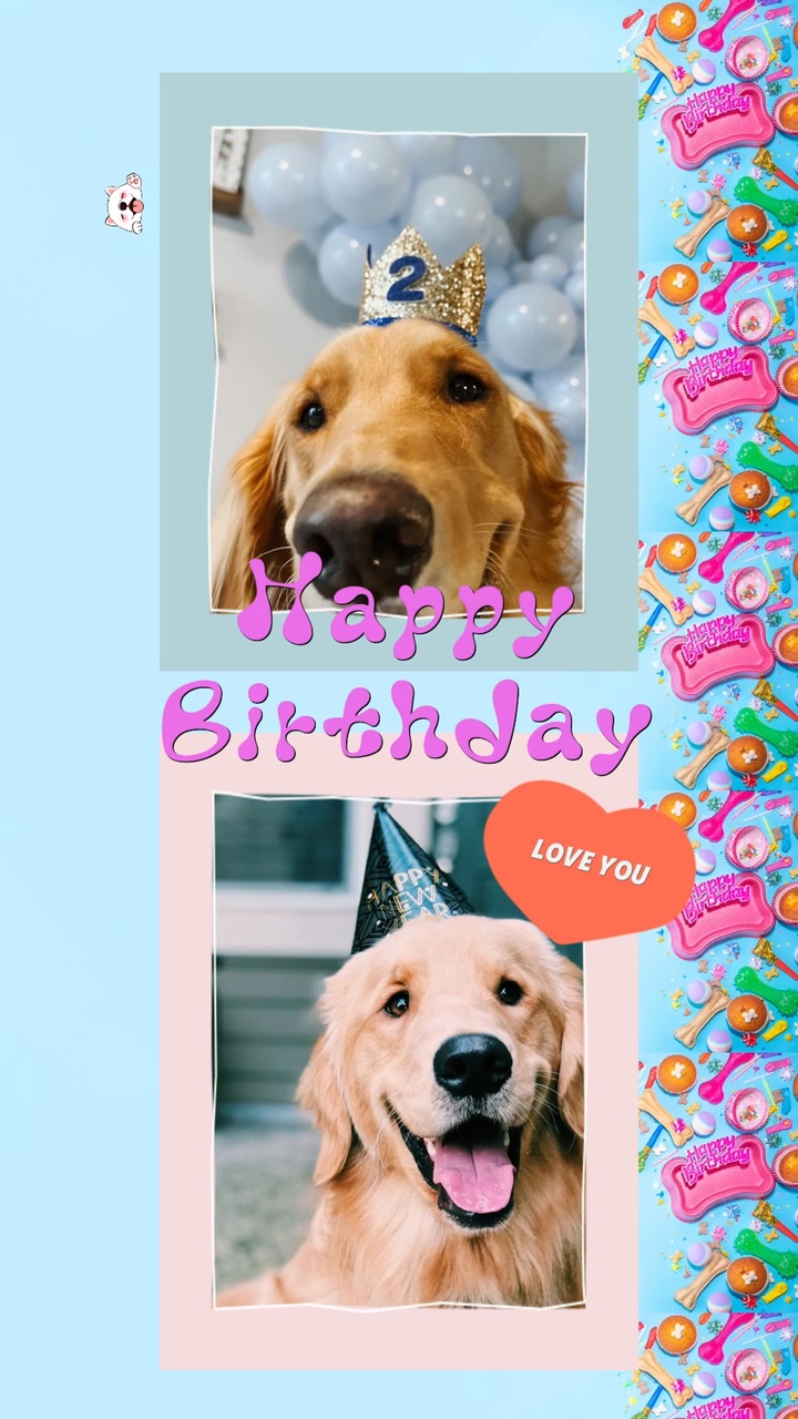 Petday Celebration