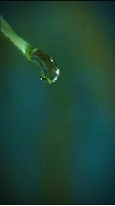 Goteo de agua 