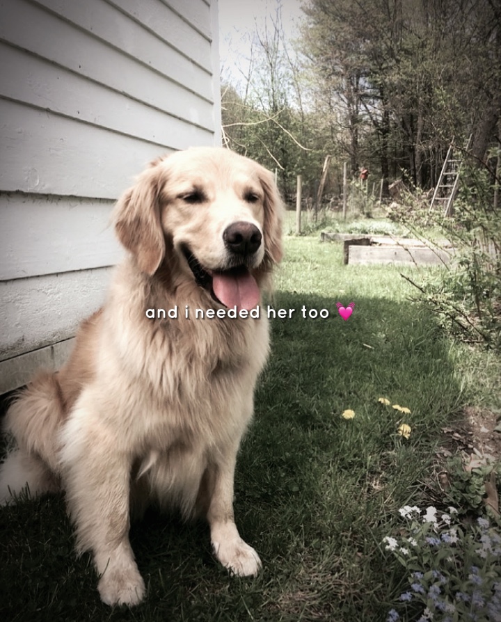 cute 💕 |