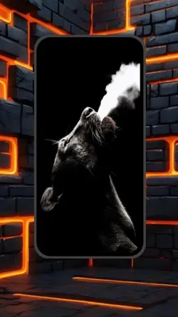 3D photo 