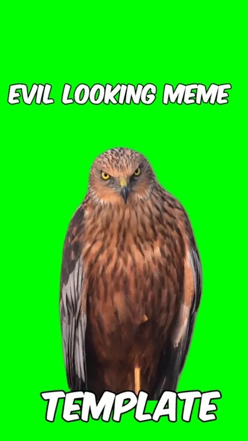 Meme de aparência maligna 