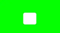 TikTok watermark
