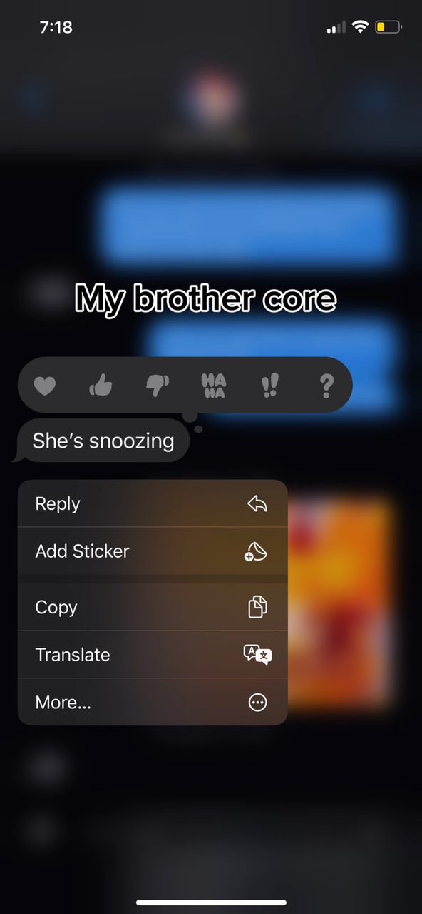 我的兄弟核心