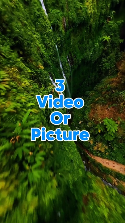 3 video or picture 
