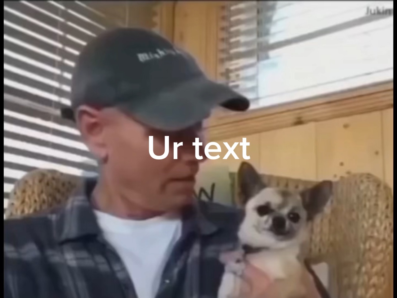Acaricia a tu perro