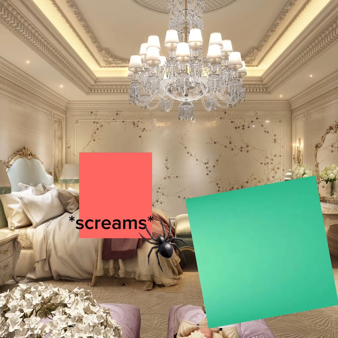 蜘蛛