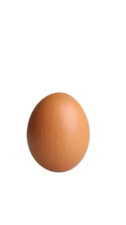 Egg treasure templat