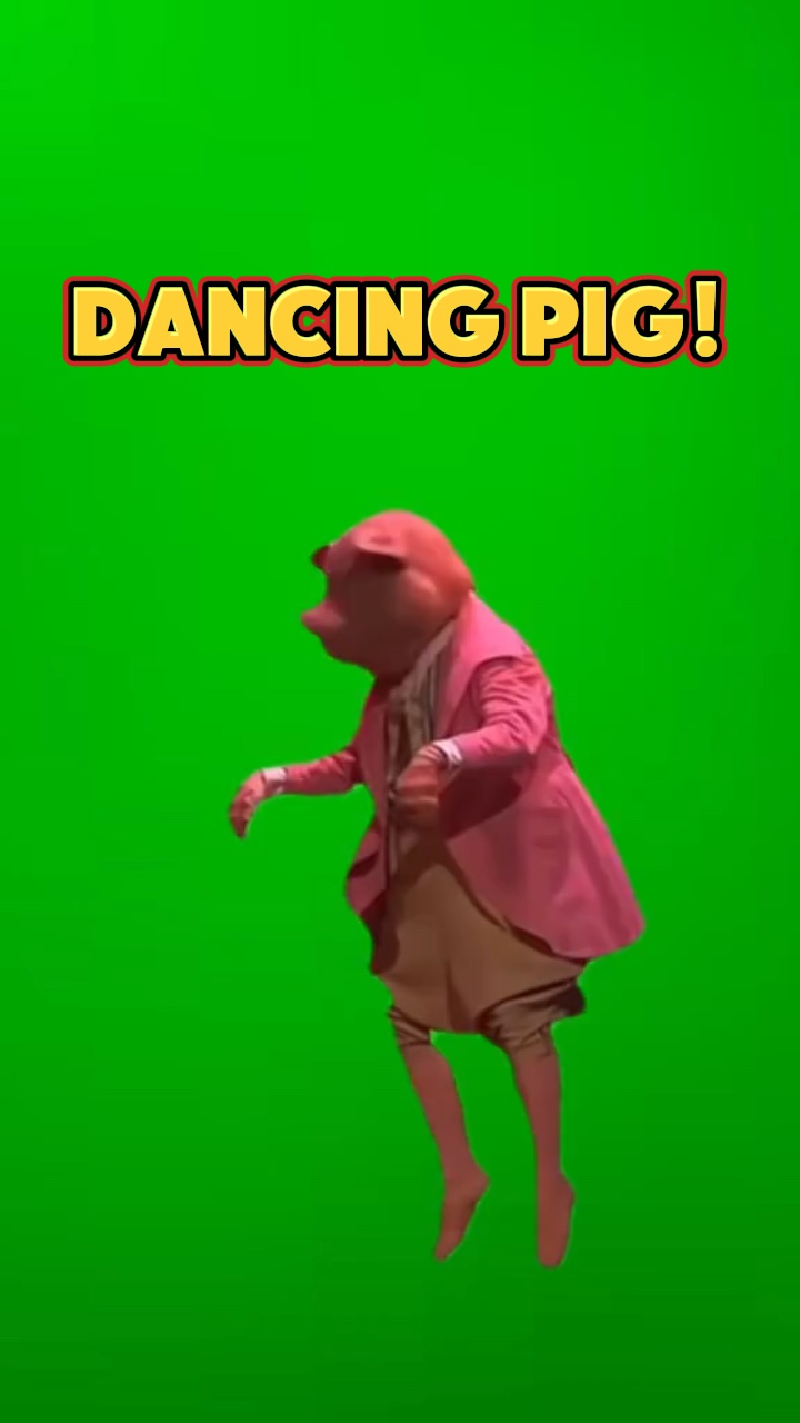 Dancing Pig