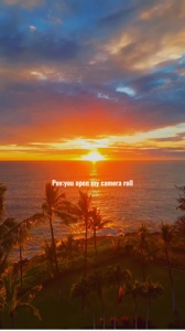 Pov: my camera roll