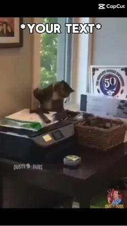 Animals funny meme