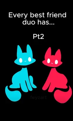 every bsf duo has
