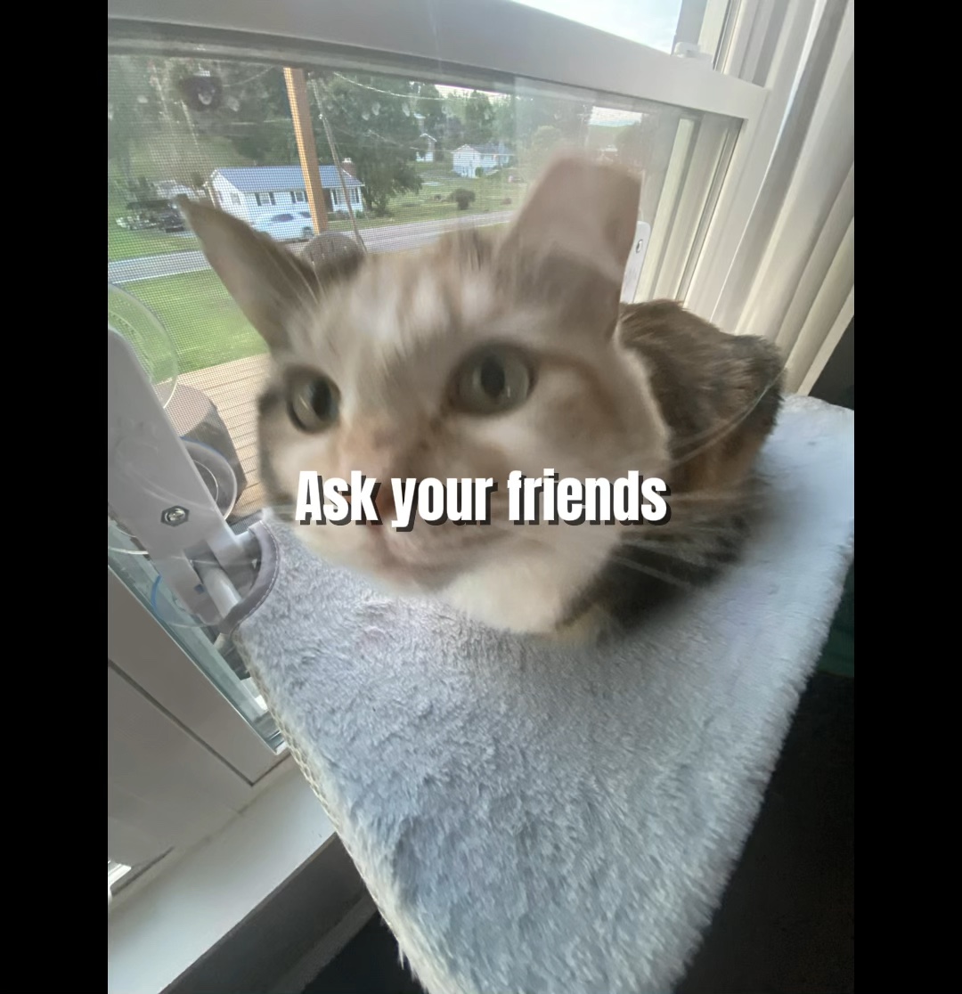 What cat r u??