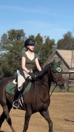 NOT REAL! FAKE HORSE