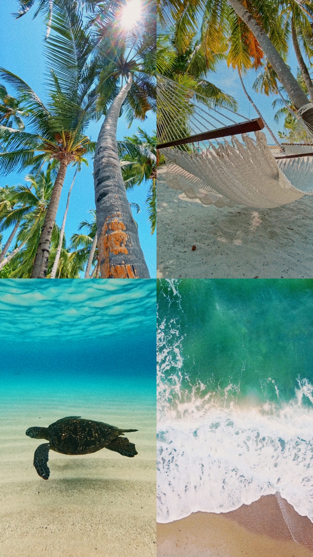 Reise-Vorlage 🌴