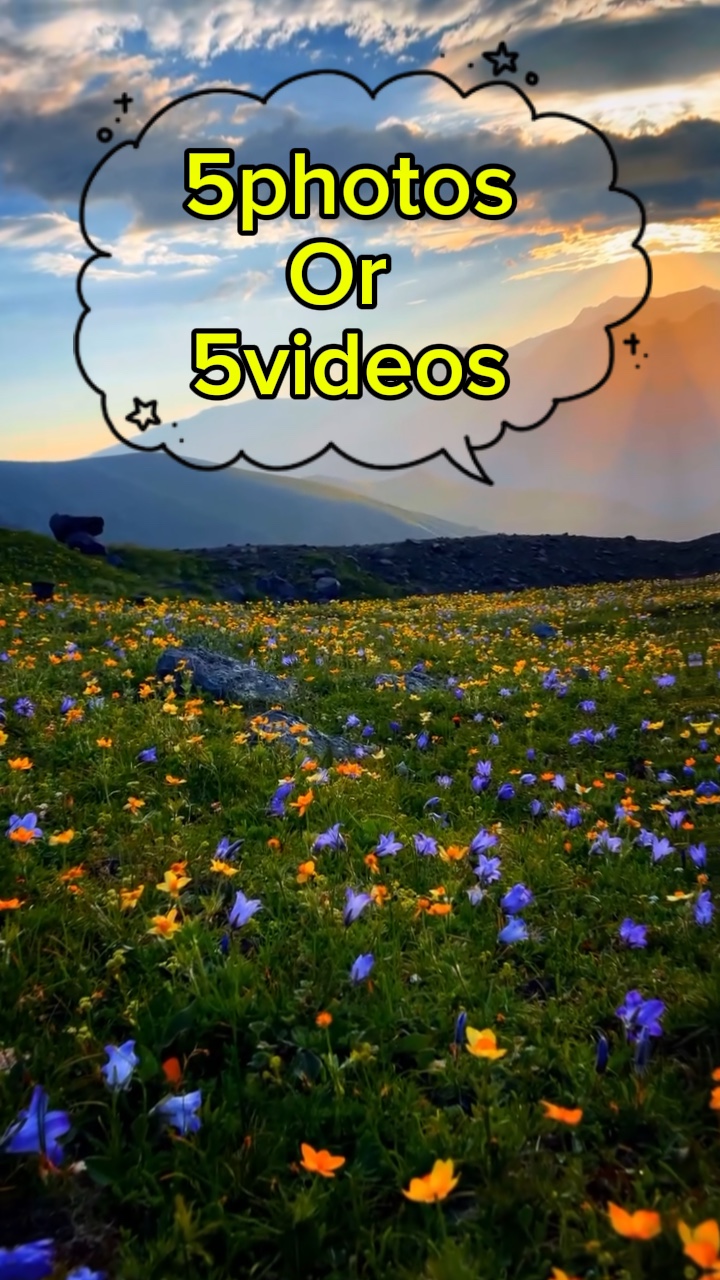 5photos/videos