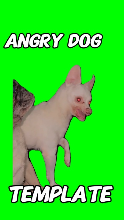 Angry Dog Meme 